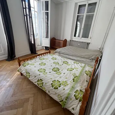 Maison De Maitre - Style Bourgeois 8 Personnes Mulhouse
